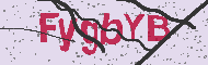 Captcha認証コード